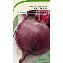 Свекла семена Садовита
