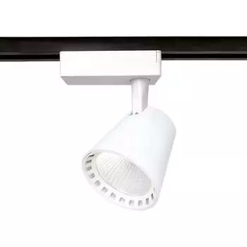 Светильник Ambrella Light GL597 AMBR_GL5974