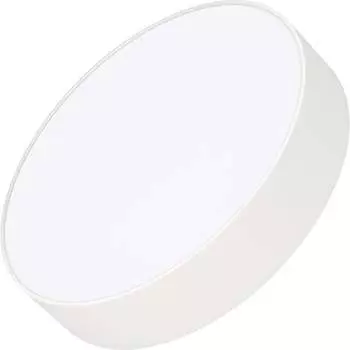 Светильник Arlight SP-RONDO-R250-30W Day4000 222322