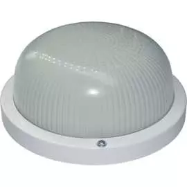 Светильник DIODEX Промо Регулар 4603789920390