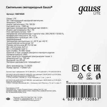 Светильник Gauss ЖКХ LITE 126418320