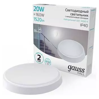 Светильник Gauss