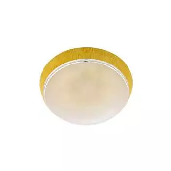 Светильник HOROZ ELECTRIC УФО ЕРДЖИЕС,Пластиковая Арматура (БУК) 400-224-101 HRZ00001460