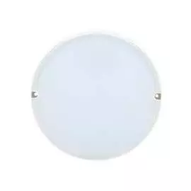 Светильник IEK ДПО 2004 LDPO0-2004-8-6500-K01