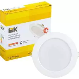 Светильник IEK ДВО 1613 LDVO0-1613-12-3000-K01