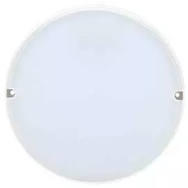 Светильник IEK LED ДПО 2013Д LDPO3-2013D-12-4000-K01