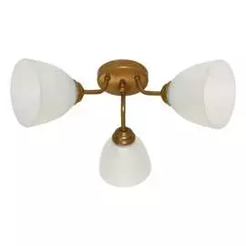 Светильник ЭЛЕТЕХ