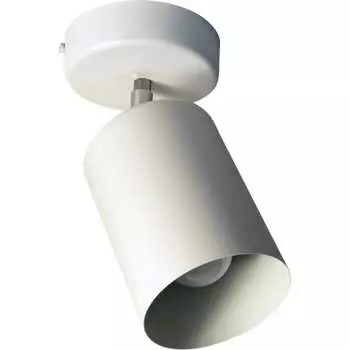 Светильник ЭЛЕТЕХ Спот 1005404513