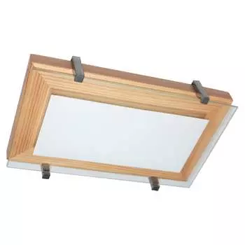 Светильник ЭЛЕТЕХ Полесье НББ 06-40 1005205881