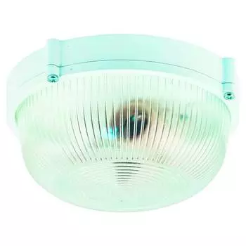 Светильник ЭЛЕТЕХ НПП 03-60-013 Банник 1301 1005501076