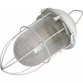 Светильник ЭРА НСП 02-100-003 Б0052019