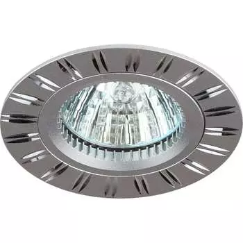 Светильник ЭРА C0043819