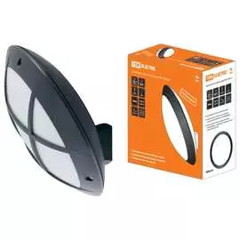 Светильник TDM ELECTRIC НБУ 05-60-008 Мегас 2 SQ0328-0308