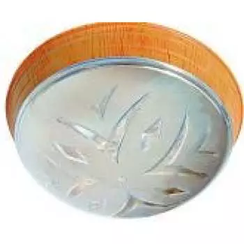 Светильник TDM НПО 106 Плутон SQ0328-0032