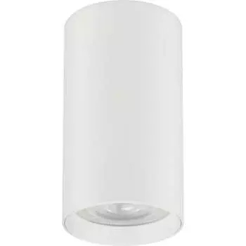 Светильник truEnergy 21310