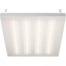 Светильник Wolta STD ДВО12-36-002-4К