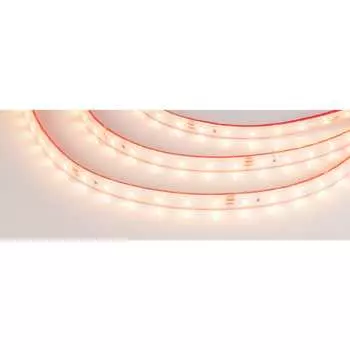 Светодиодная герметичная лента Arlight RTW-PS-A60-10мм 24V Warm2700 245662