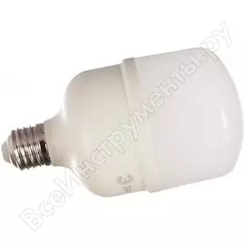 Светодиодная лампа ЭРА LED smd POWER 20W-2700-E27 Б0027000