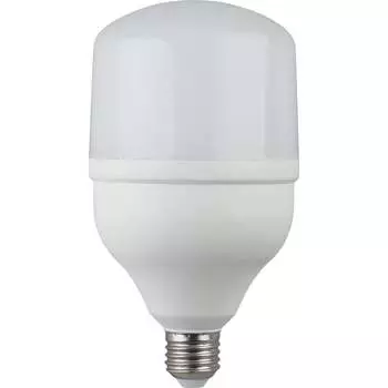 Светодиодная лампа ЭРА LED smd POWER 20W-6500-E27 40/800 Б0027011