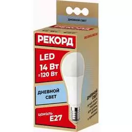 Светодиодная лампа РЕКОРД 24369