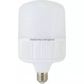 Светодиодная лампа TDM ELECTRIC Народная SQ0340-1646