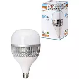 Светодиодная лампа TDM ELECTRIC T Народная SQ0340-1651