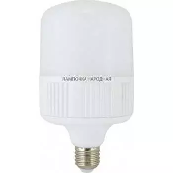 Светодиодная лампа TDM ELECTRIC T 30 Вт, 230 В, 4000 К, E27 (100x165 мм) SQ0340-0352