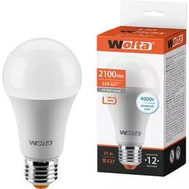 Светодиодная лампа Wolta 25S67BL25E27