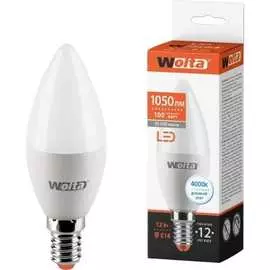 Светодиодная лампа Wolta 25SC12E14