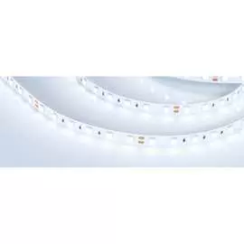 Светодиодная лента Arlight RT-B60-10mm 24V Cool 8K 013757(2)