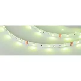 Светодиодная лента Arlight RT-B30-10mm 12V RGB 010596(2)