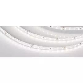 Светодиодная лента Arlight RT-A98-8mm 24V Day4000 019914(2)