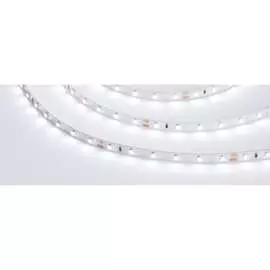 Светодиодная лента Arlight RT-A60-8mm 24V White6000 024581(2)