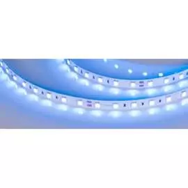 Светодиодная лента Arlight RT-B60-10mm 24V Blue 008819(2)