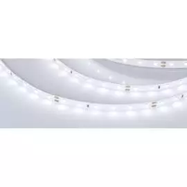 Светодиодная лента Arlight RT-A60-8mm 24V White6000 020011(2)
