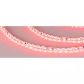 Светодиодная лента Arlight RT-A120-5mm 24V Red 015657(2)