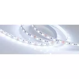 Светодиодная лента Arlight RT-B60-10mm 12V Cool 8K 013341(2 0