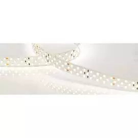 Светодиодная лента Arlight RT-A252-19mm 24V Day4000 019926(2)