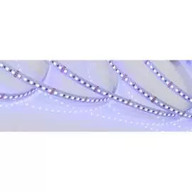 Светодиодная лента Arlight RT-H120-10mm 24V RGB 026834(2)