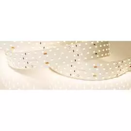 Светодиодная лента Arlight RT-A280-36mm 24V Warm3000 020391(2)