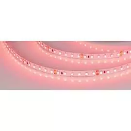 Светодиодная лента Arlight RT-A120-8mm 24V Red 008781(2)