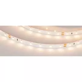 Светодиодная лента Arlight RT-A60-8mm 24V Warm2700 024585(2)