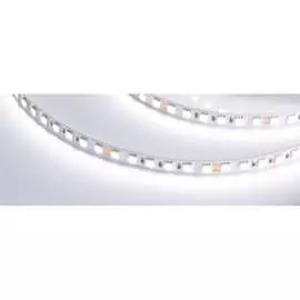Светодиодная лента Arlight RT-B96-10mm 24V White6000 017427(2)