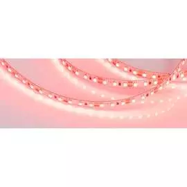 Светодиодная лента Arlight RT-A120-8mm 12V Red 012329(2)