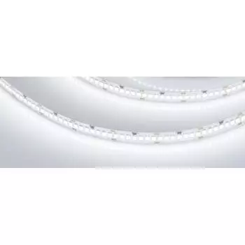Светодиодная лента Arlight RT-A252-10mm 24V White6000 022648(2)