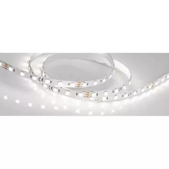 Светодиодная лента Arlight RT-B60-10mm 24V White-MIX 2Ch , 14.4 Вт/м, IP2 025214(1)