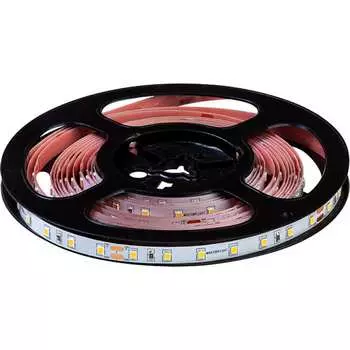 Светодиодная лента MAKSILED ML-R70-2835-SA-CW-S