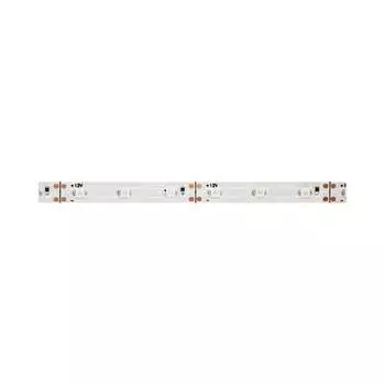 Светодиодная лента Navigator 71 437 NLS-3528R60-4.8-IP20-12В-Pro 71437