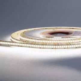 Светодиодная лента Wolta Decor WLS2835-24W/6500/24H240-01