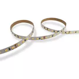 Светодиодная лента Wolta Decor WLS2835-12W/6500/24H120-01